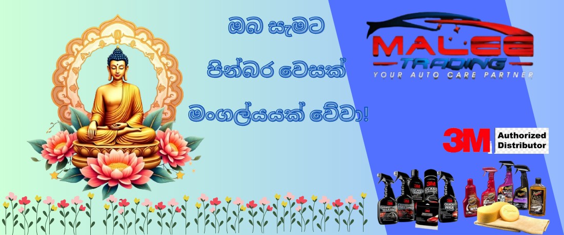 MaleeTrading promo